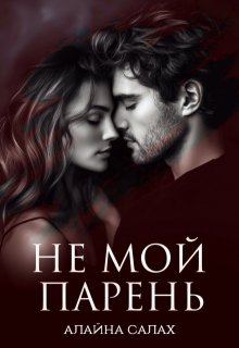 Не мой парень — Алайна Салах