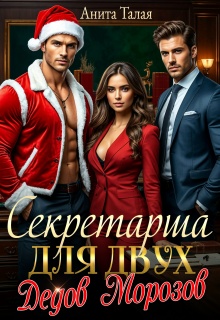 Секретарша для двух Дедов Морозов — Анита Талая