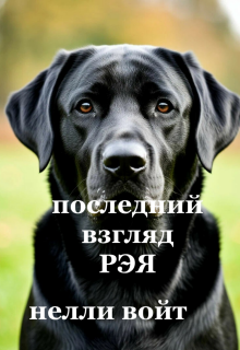 Последний взгляд Рэя — Нелли Войт
