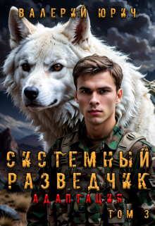Системный разведчик. Адаптация. Том 3 — Валерий Юрич