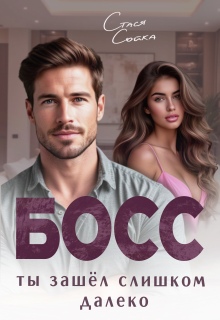 Босс. Ты зашёл слишком далеко — Стася Сойка