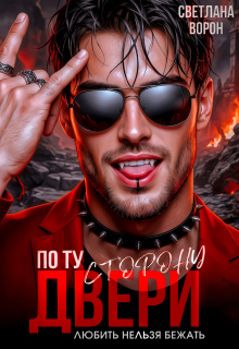 По ту сторону двери. Любить нельзя бежать — Светлана Ворон